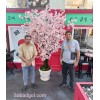 درخت شکوفه مصنوعی بزرگ